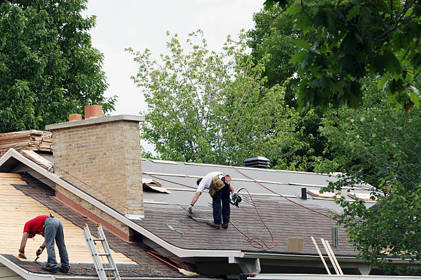 Best Gutter Installation and Roofing  in Sycamore, GA