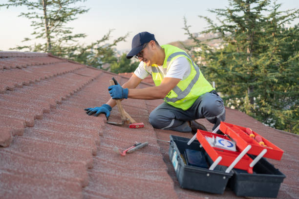 Best Sealant for Roof  in Sycamore, GA