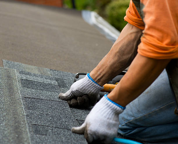 Best New Roof Installation  in Sycamore, GA