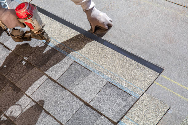 Best Shingle Roofing Installation  in Sycamore, GA
