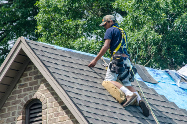 Best Roof Gutter Cleaning  in Sycamore, GA